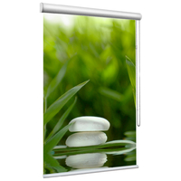 Foto-Kassettenrollo - Rollo mit Kassette bedruckt mit einem Logo oder einem eigenen Foto