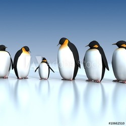 Fun penguins