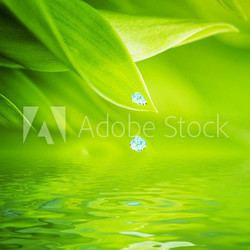 Water drops falling from a leaf of grass