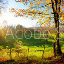 Zauberhafte Landschaft im Herbst: sonniges Panorama von ländlicher Idylle