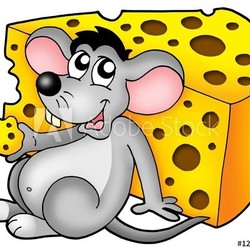 Cute mouse eating cheese