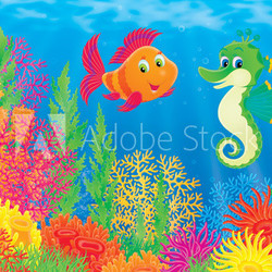 Coral fish and seahorse
