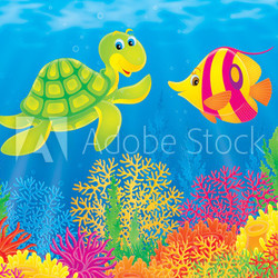 Coral fish and turtle