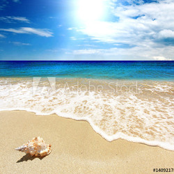 Tranquil scene with Sea shellfish, blue sky, golden sand and small waves 