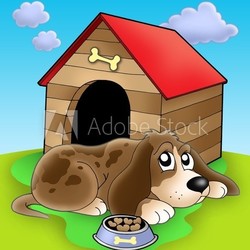 Dog resting in front of kennel