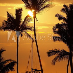 トロピカル・サンセット