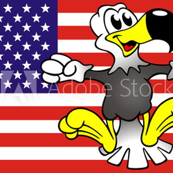 USA Weisskopfseeadler