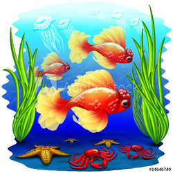 Animali Mare-Sea Animals-Animaux Mer 5