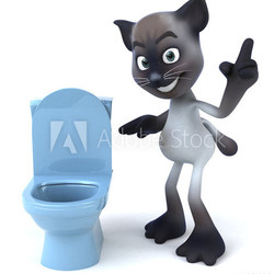 Chat et toilettes