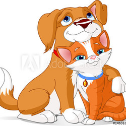 Cute Dog hugging a Cat