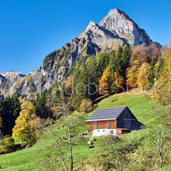 Brünnelistock am Obersee