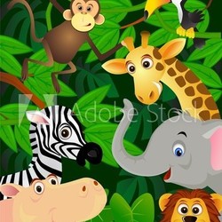 Wild animals in the jungle