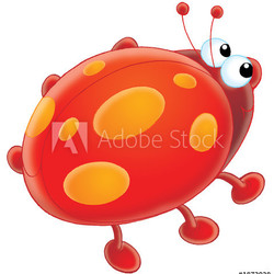 ladybird