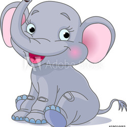 Baby elephant