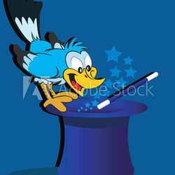 The bird looking at the stars arising from the hat