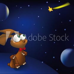 hare space and a falling star
