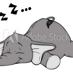 Elefant, schlafen, Schlaf, schnarchen, träumen