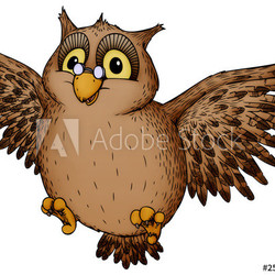 Eule, Kauz, Käuzchen, Nacht, Nachteule, Uhu, fliegen