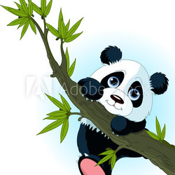 Giant panda climbing tree