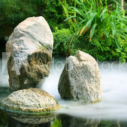 Mystischer Weiher im Nebel