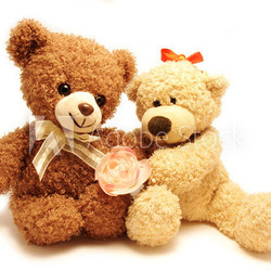 couple of teddy-bears & rose