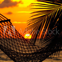 palm, hammock and sunset