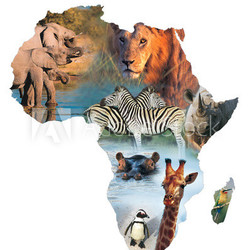africa collage