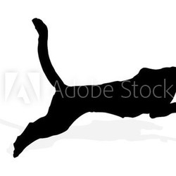 wild animal - puma, vector