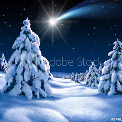 Weihnachtslandschaft 2