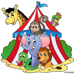 Various animals in circus tent