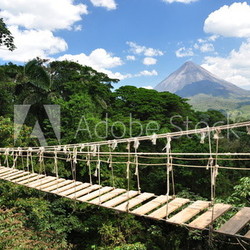 Brücke im Dschungel