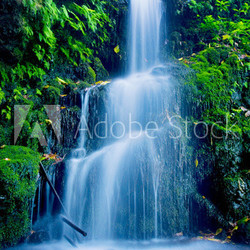 Beautiful Lush Waterfall