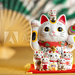 Maneki Neko cat