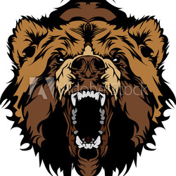 Grizzly Bear Mascot Head Vector Graphic