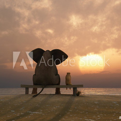 elephant and dog sit on a summer beach