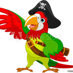 Pirate  Parrot