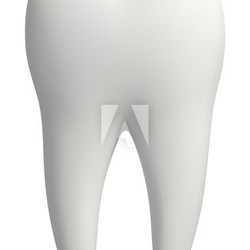 White tooth icon vector isolated