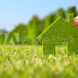 hand holding eco house icon in nature