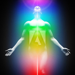 Transformation ins Licht