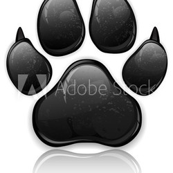 Paw Prints