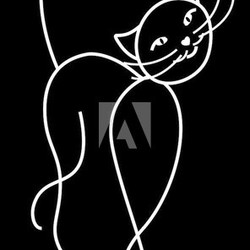 Picture of a cat on a black background.