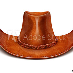 cowboy's leather hat stetson vector illustration isolated on