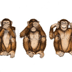 drei Affen (nichts sehen, hören, sagen)