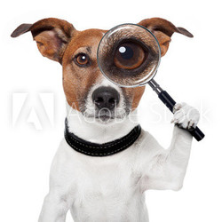 searching dog with magnifying glass