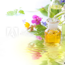 Natürliche Essenzen aus Wildblüten