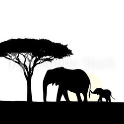 African elephant with baby silhouette