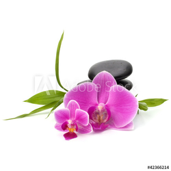 Zen pebbles balance. Spa and healthcare concept.