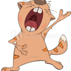 Cat the opera singer