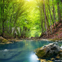 River in mountain forest.