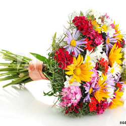 beautiful bouquet of bright  wildflowers, isolated on white